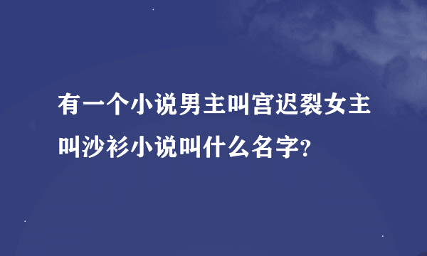 有一个小说男主叫宫迟裂女主叫沙衫小说叫什么名字？