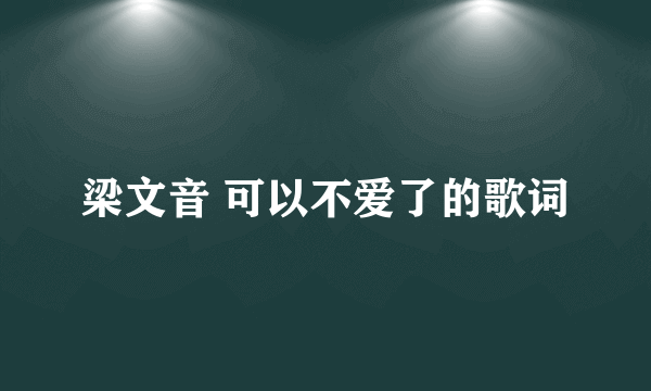 梁文音 可以不爱了的歌词