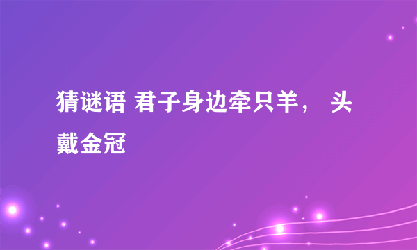 猜谜语 君子身边牵只羊， 头戴金冠