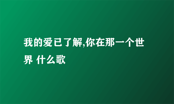 我的爱已了解,你在那一个世界 什么歌