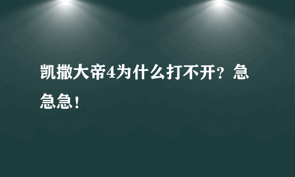 凯撒大帝4为什么打不开？急急急！