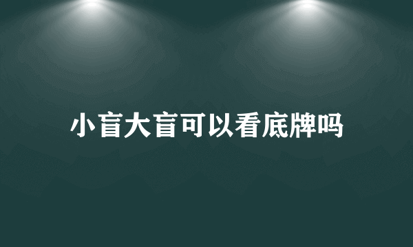 小盲大盲可以看底牌吗