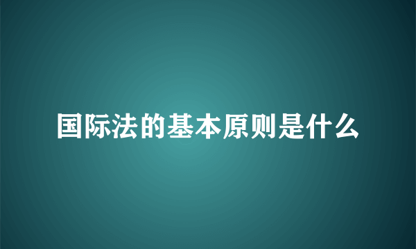 国际法的基本原则是什么