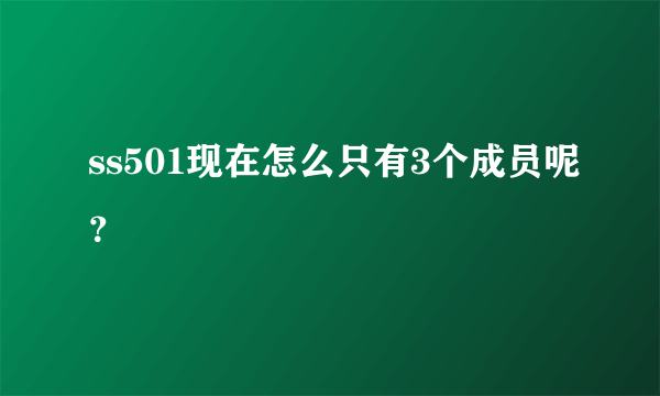 ss501现在怎么只有3个成员呢？