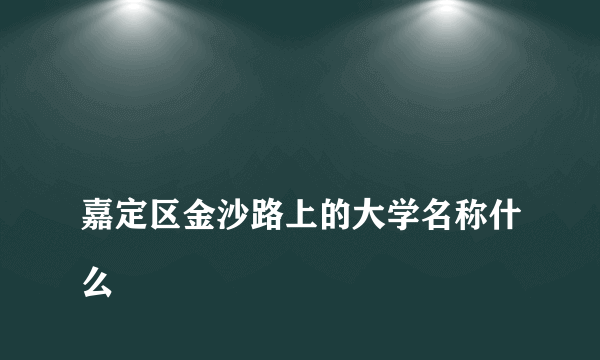 
嘉定区金沙路上的大学名称什么

