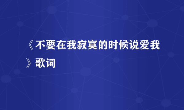 《不要在我寂寞的时候说爱我》歌词