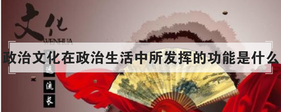 政治文化在政治生活中所发挥的功能是什么