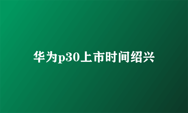 华为p30上市时间绍兴