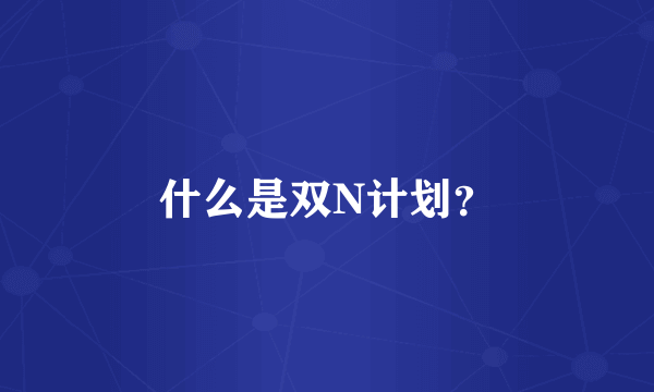 什么是双N计划？