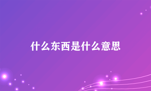 什么东西是什么意思