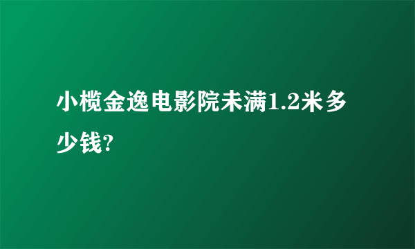 小榄金逸电影院未满1.2米多少钱?