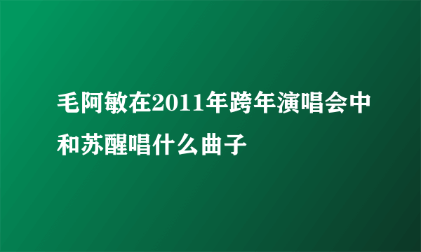 毛阿敏在2011年跨年演唱会中和苏醒唱什么曲子