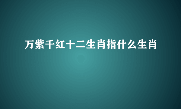 万紫千红十二生肖指什么生肖