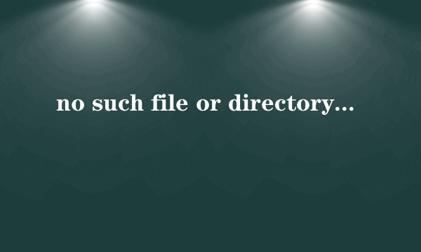 no such file or directory怎么解决