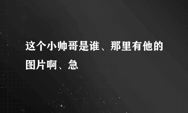 这个小帅哥是谁、那里有他的图片啊、急