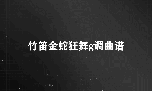 竹笛金蛇狂舞g调曲谱