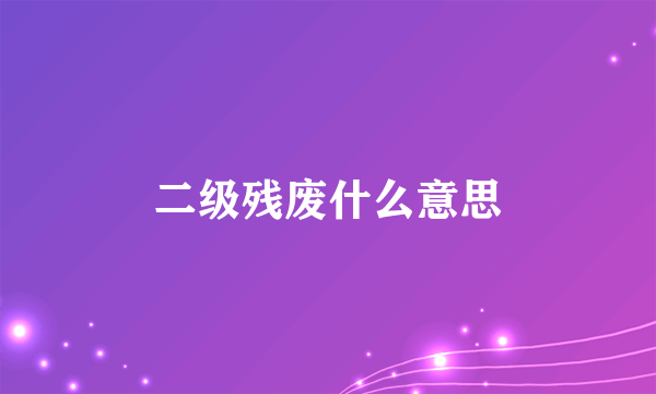 二级残废什么意思