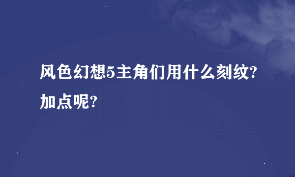 风色幻想5主角们用什么刻纹?加点呢?