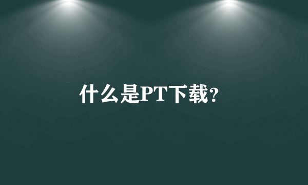 什么是PT下载？