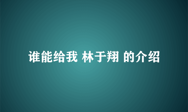 谁能给我 林于翔 的介绍