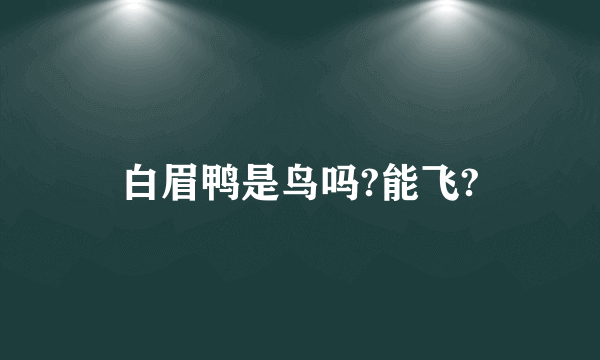 白眉鸭是鸟吗?能飞?