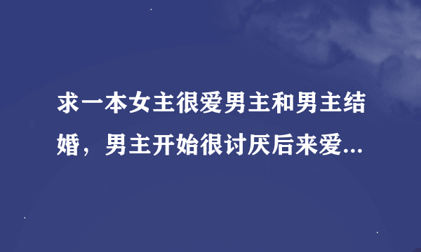 求一本女主很爱男主和男主结婚，男主开始很讨厌后来爱上了女主，很虐的总裁小说，一定要总裁文