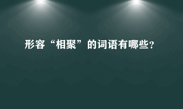 形容“相聚”的词语有哪些？