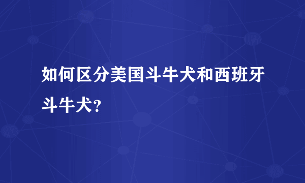 如何区分美国斗牛犬和西班牙斗牛犬？