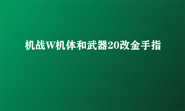 机战W机体和武器20改金手指