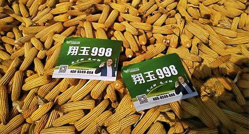 998 是什么意思?