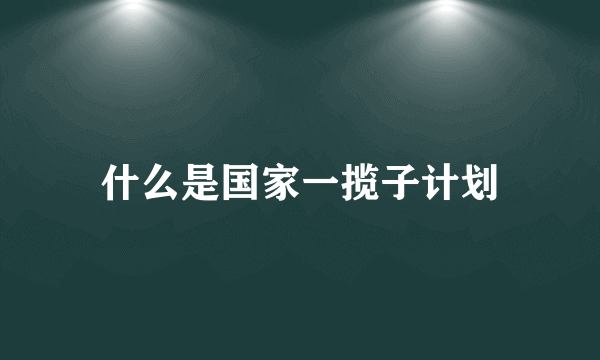 什么是国家一揽子计划