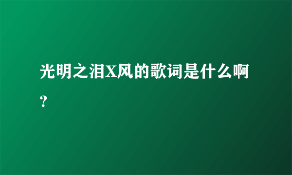 光明之泪X风的歌词是什么啊？