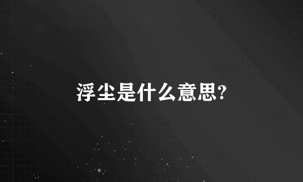 浮尘是什么意思?