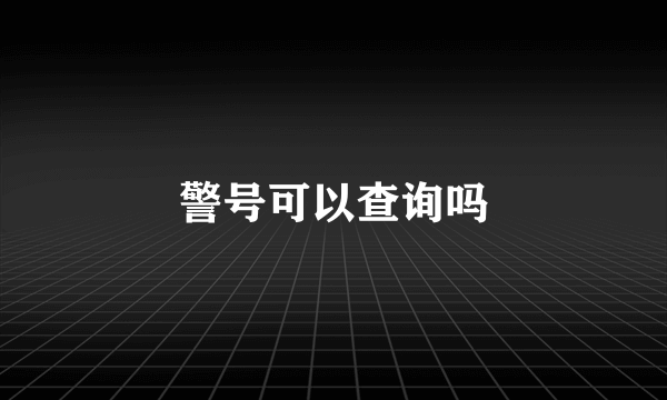 警号可以查询吗