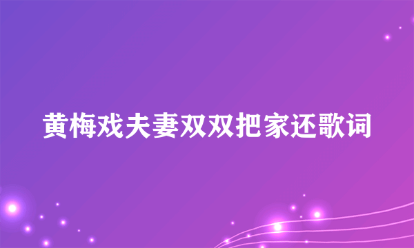 黄梅戏夫妻双双把家还歌词