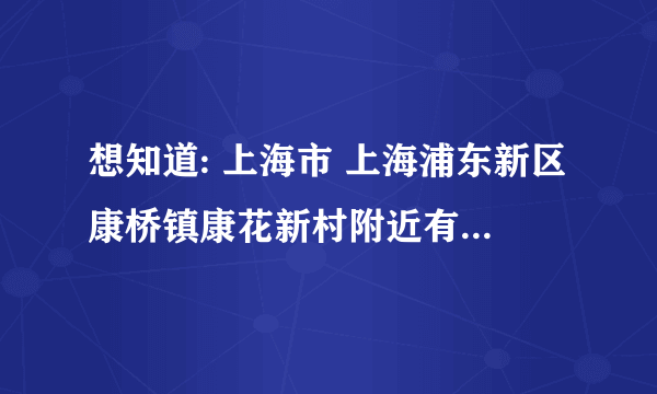 想知道: 上海市 上海浦东新区康桥镇康花新村附近有火车票代售点吗 在哪