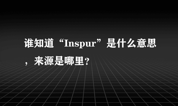 谁知道“Inspur”是什么意思，来源是哪里？