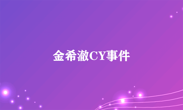 金希澈CY事件