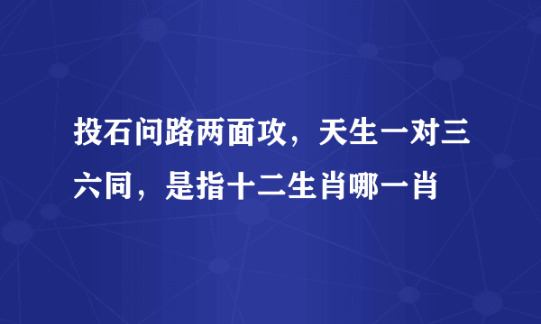 投石问路两面攻，天生一对三六同，是指十二生肖哪一肖