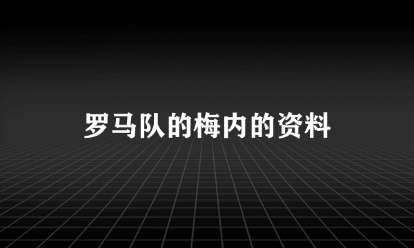 罗马队的梅内的资料