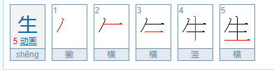 生的笔顺