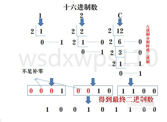 怎样进行进制间的转换