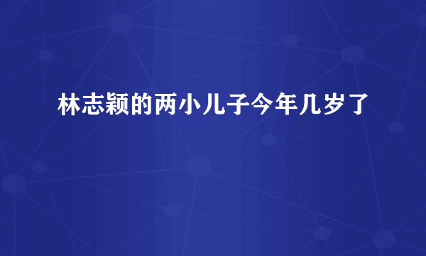 林志颖的两小儿子今年几岁了