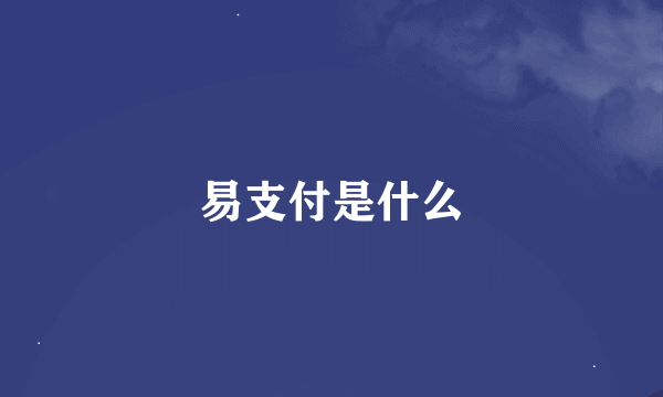 易支付是什么