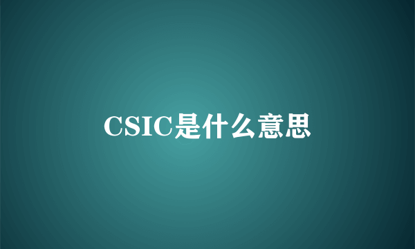 CSIC是什么意思