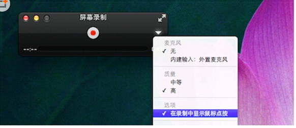 quicktime player 是做什么的,怎么使用