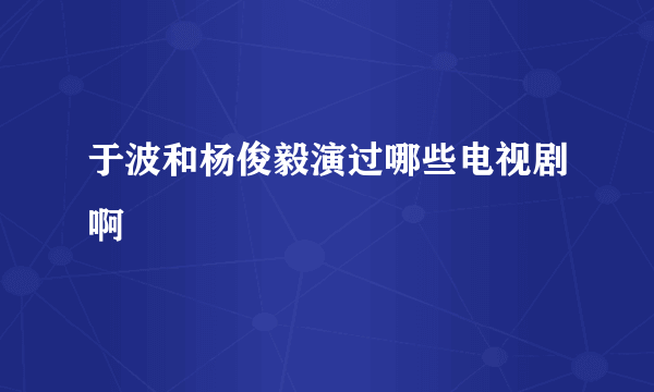 于波和杨俊毅演过哪些电视剧啊