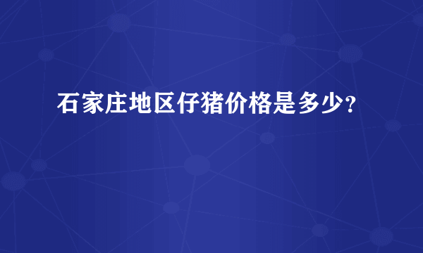 石家庄地区仔猪价格是多少？