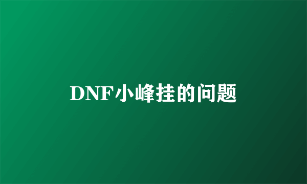 DNF小峰挂的问题