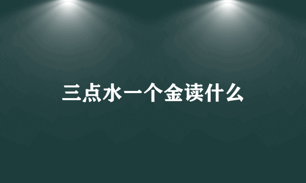 三点水一个金读什么